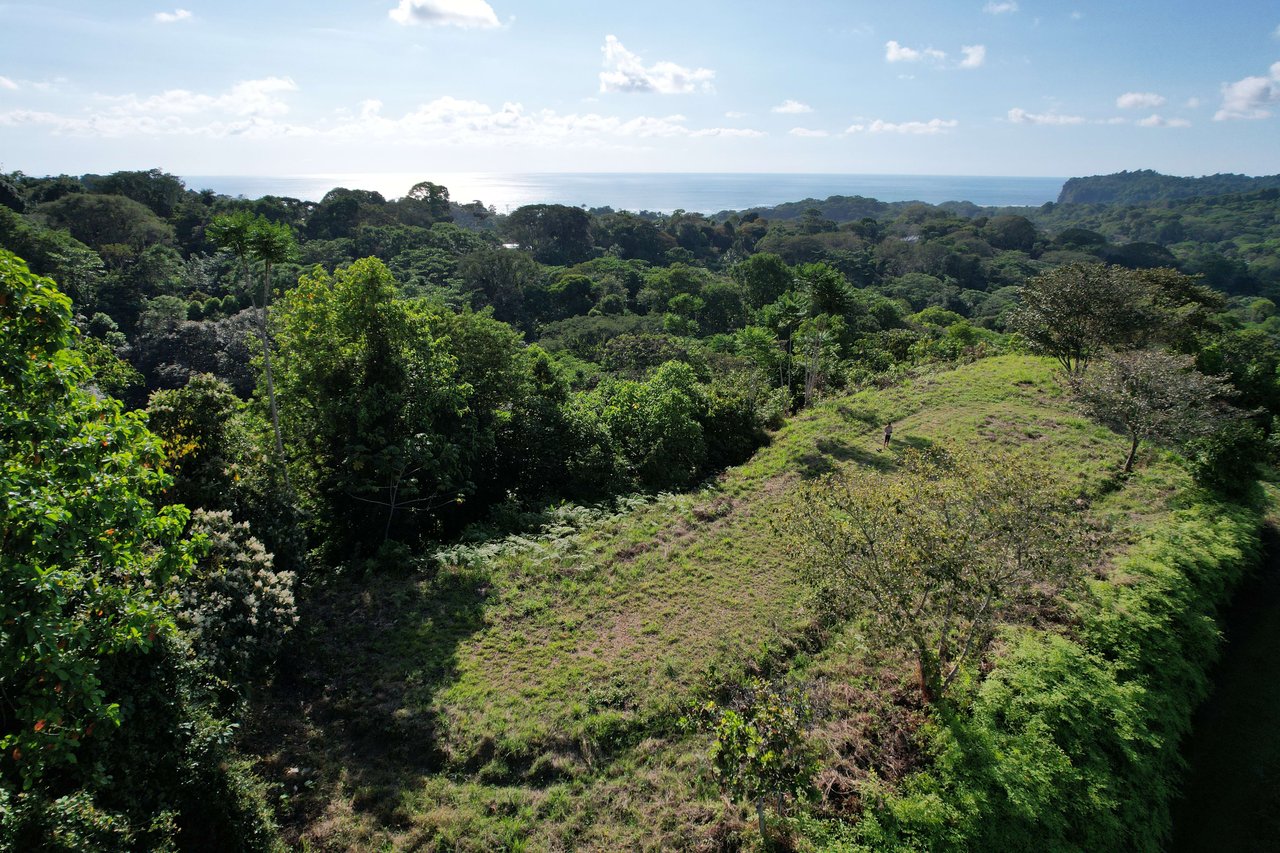 3.98 Acres, Ocean View Property In Finca Maranon With Legal Water! Ojochal 