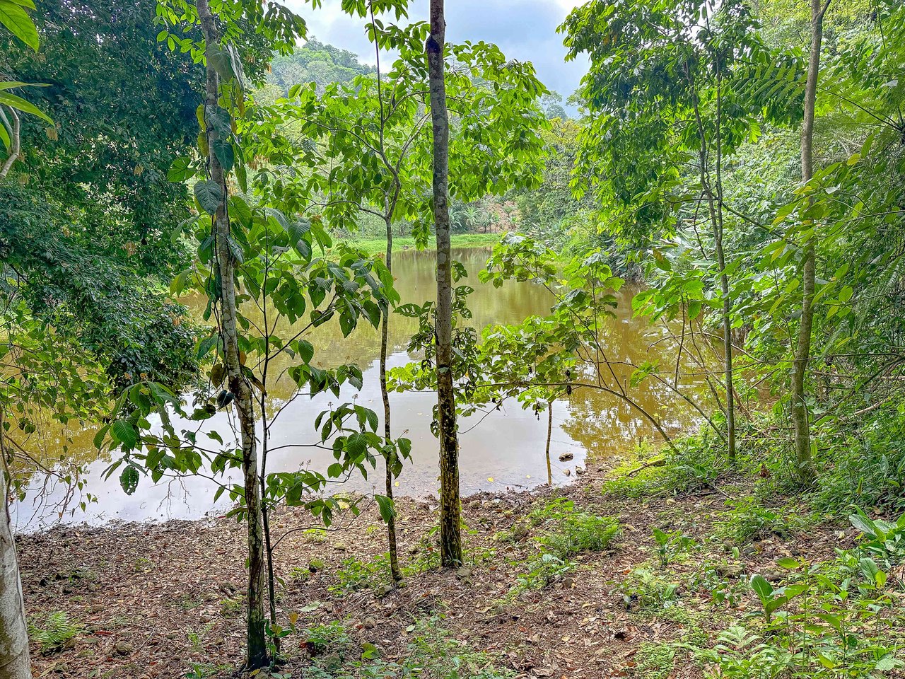 Breathtaking 210 Foot Waterfall on Over 200 Acres of Land in the Lush Hills & Mountains of Perez Zeledon – with SO MANY Additional Development Options!