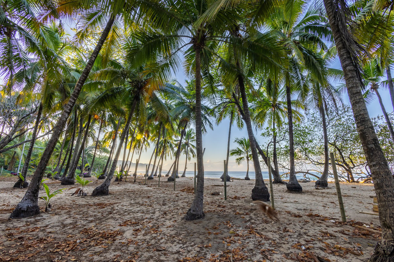 Prime Beachfront Concession Land, Santa Teresa, Puntarenas