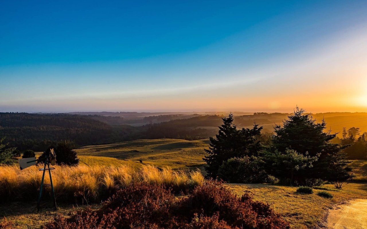 Coastal Mendocino