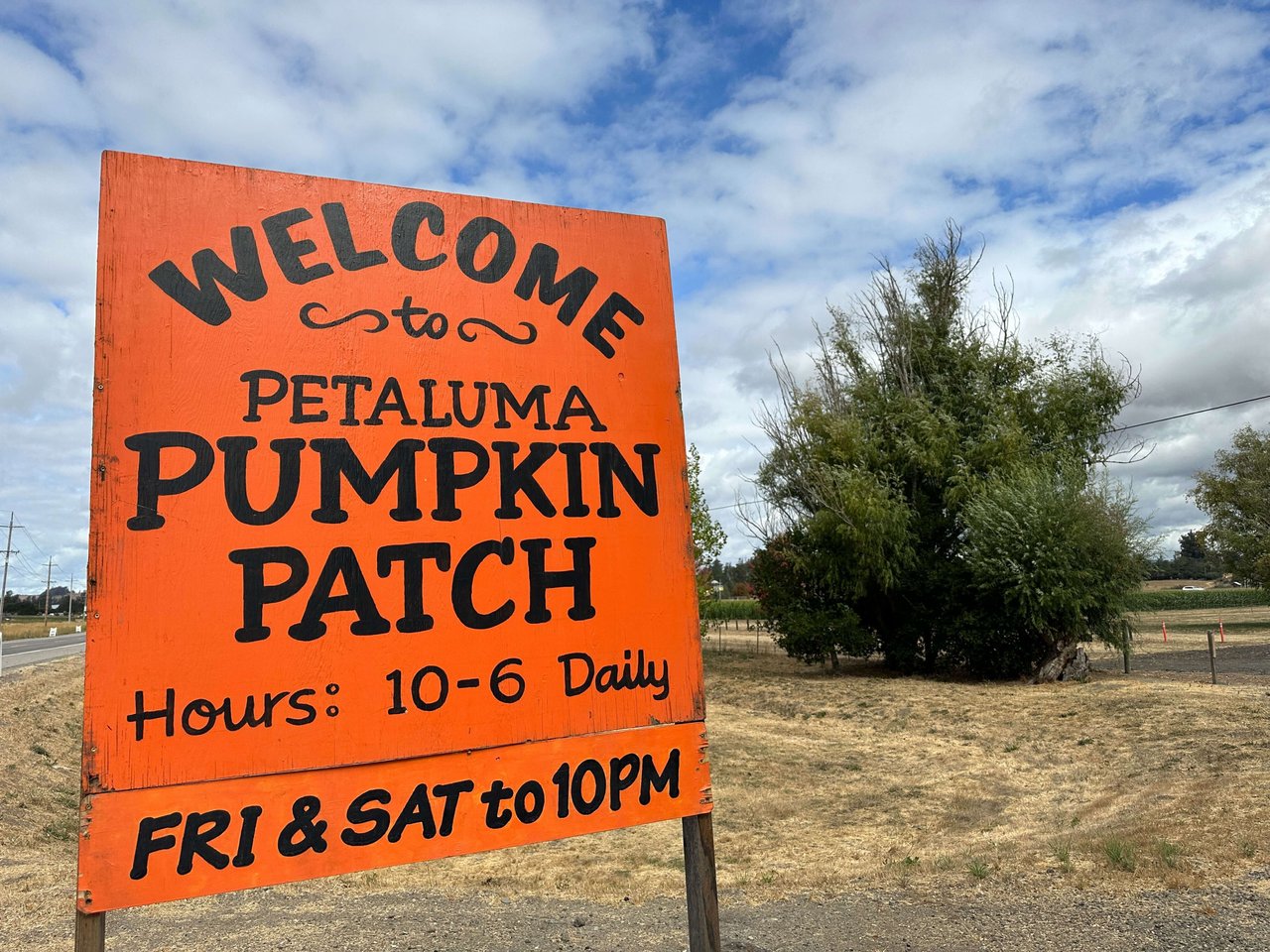 Petaluma Pumpkin Patch and Amazing Corn Maze