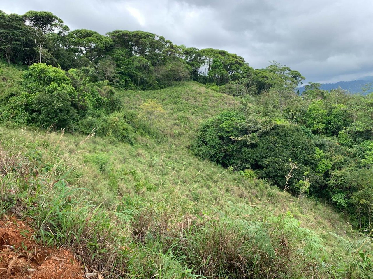 Prime 286-Acre Ocean View Property for Sale Near Quepos, Costa Rica – Ideal for Development