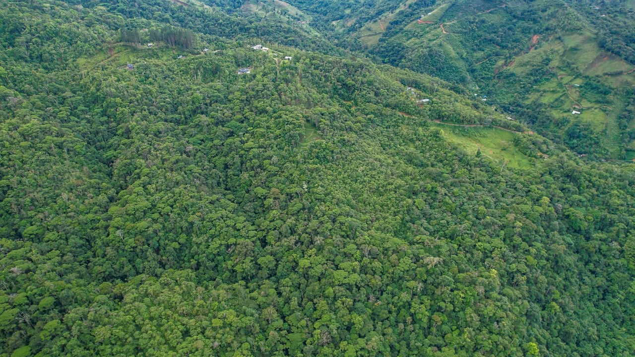 Riverfront Mountain View Acreage, Perez Zeledon, San Jose