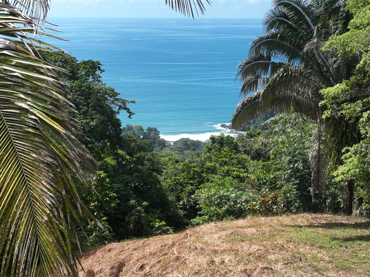 Whale Tail View Building Land, Uvita, Puntarenas