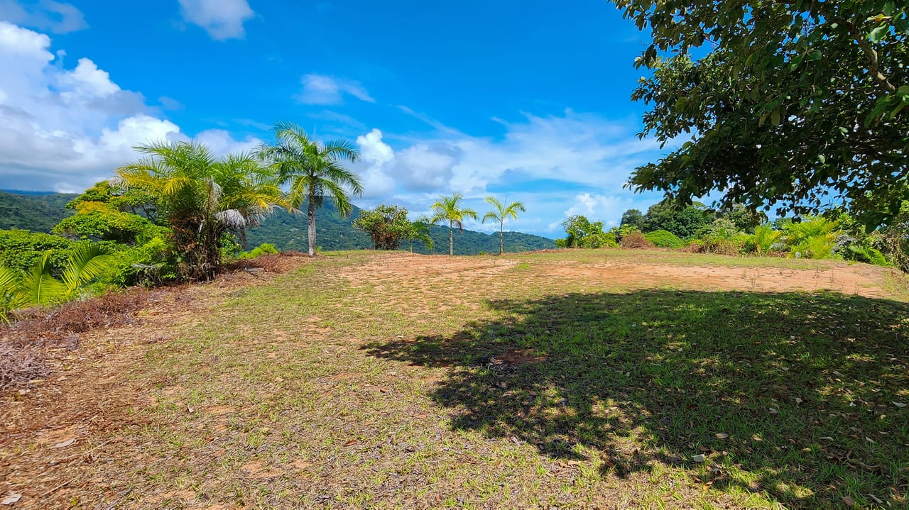 MANGO MANOR RIDGE PREMIER OCEAN VIEW PROPERTY IN DOMINICAL