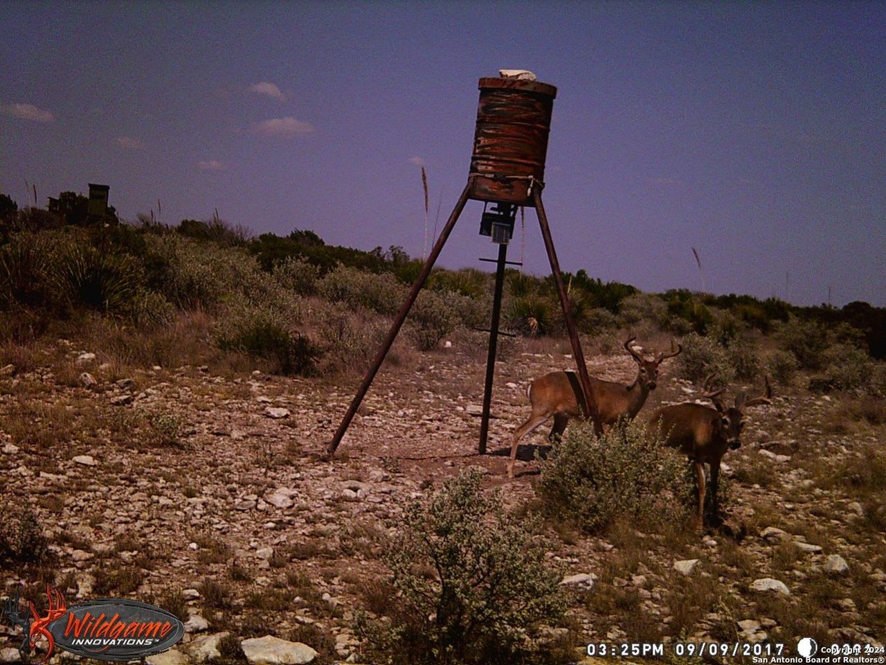 000 Ward Ranch Rd