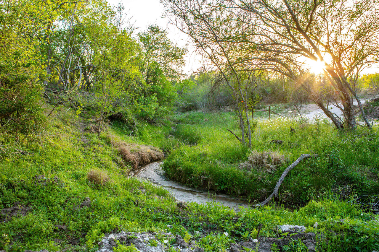 Karnes Tract 5