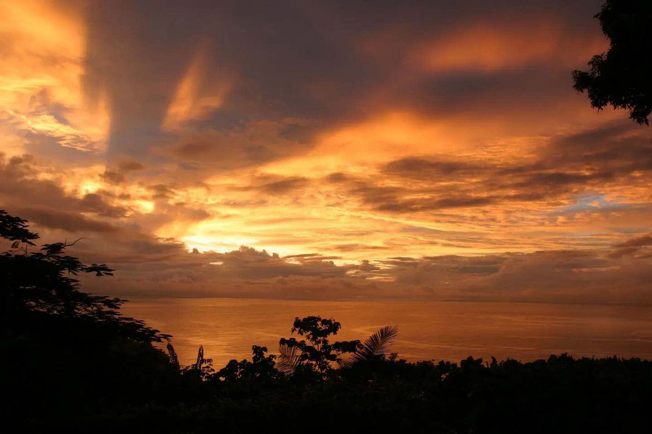  Affordable & Charming 1 bedroom Villa with Pool in gated community, immersed in the rainforest close to Quepos  