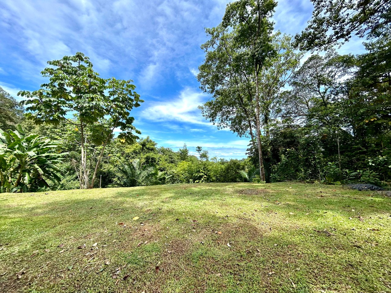 Secret Paradise Property in Altos de la Colonia