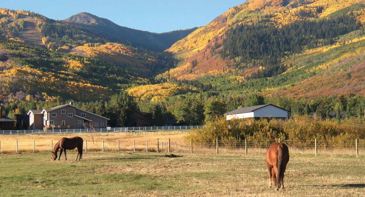 Explore The Unique Park Meadows and Thanes Canyon Neighborhoods in Park City, Utah