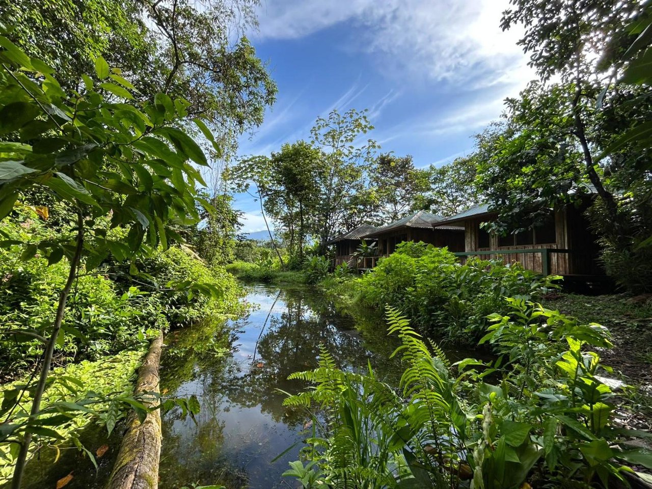 Sustainable Conservation Retreat, Osa, Puntarenas
