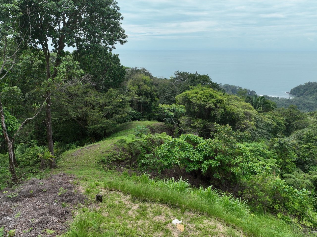 Whale Tail View Building Land, Uvita, Puntarenas