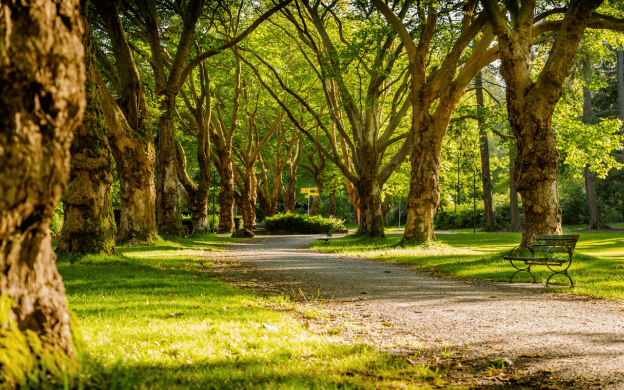 A Guide to Sunnyvale Parks