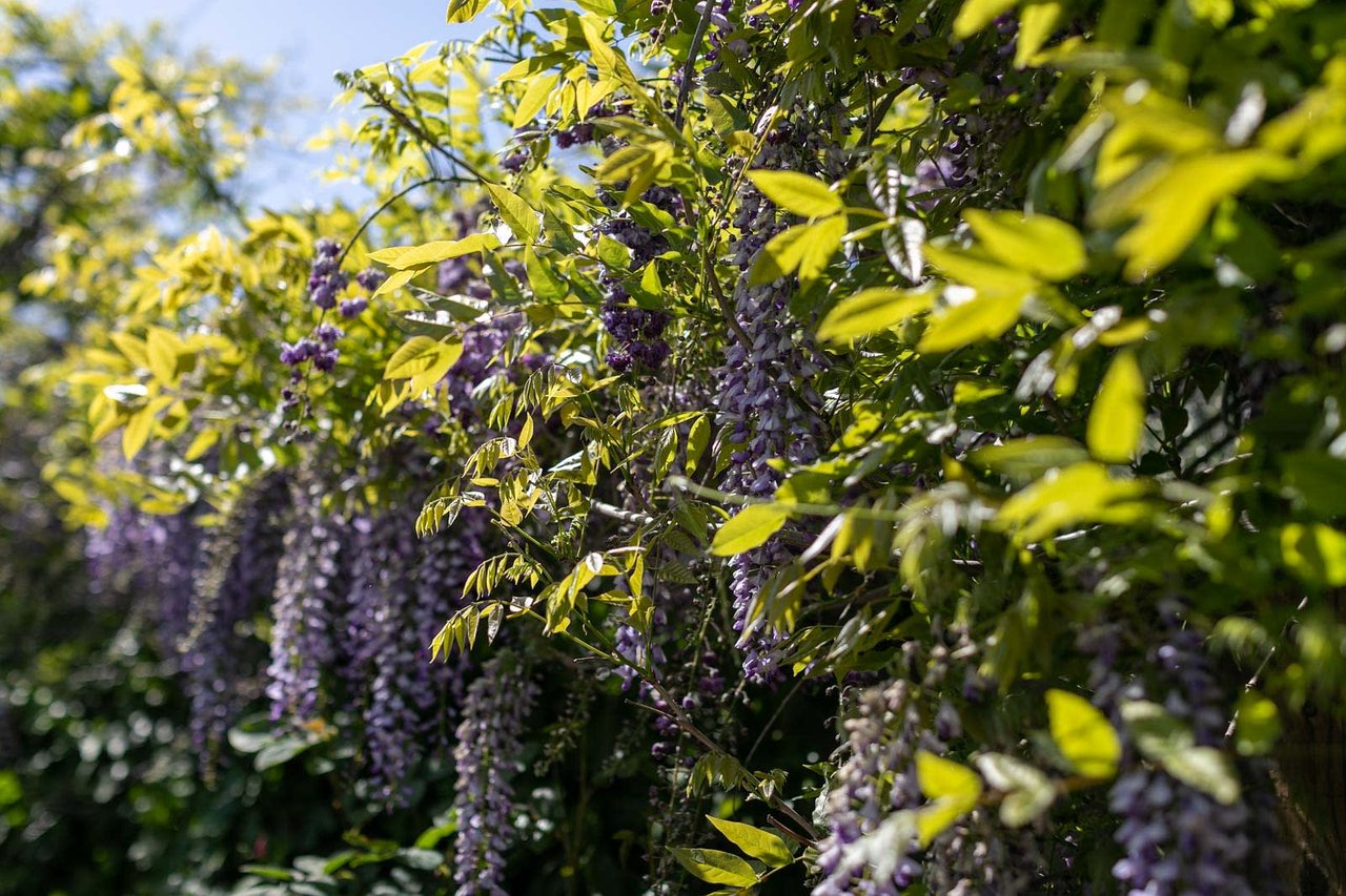 1349 Butterfield Road