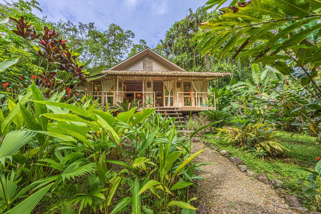 Private Beachfront Rainforest Estate, Osa, Puntarenas
