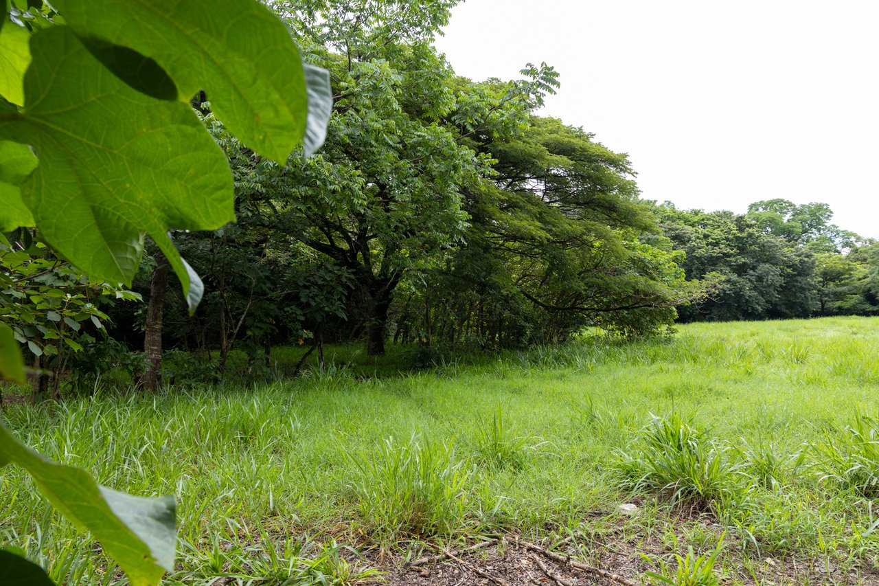 Expansive Fertile Mountain Ranch, Flamingo, Guanacaste