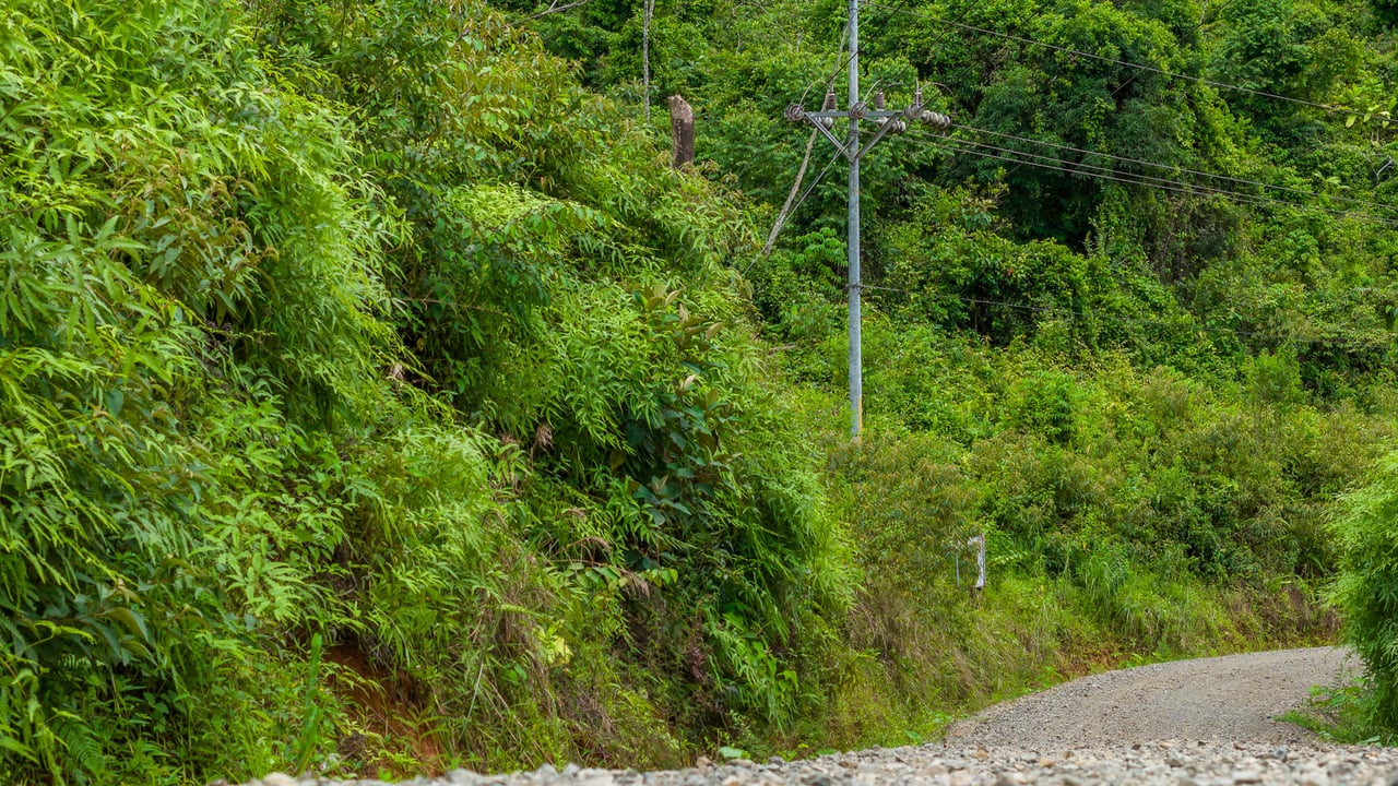 Costa Rican Gem with Conservation Potential: Preserve 26 Acres of Pristine Land