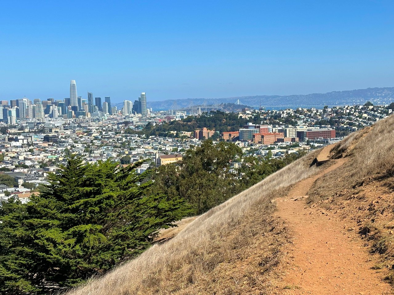 Bernal Heights