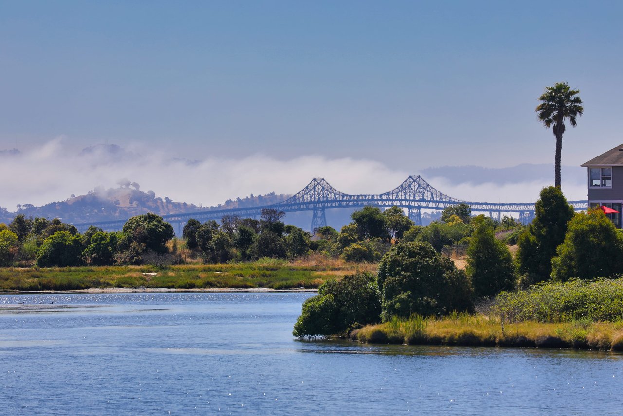 Vacation at Home on the Marin Bayshore