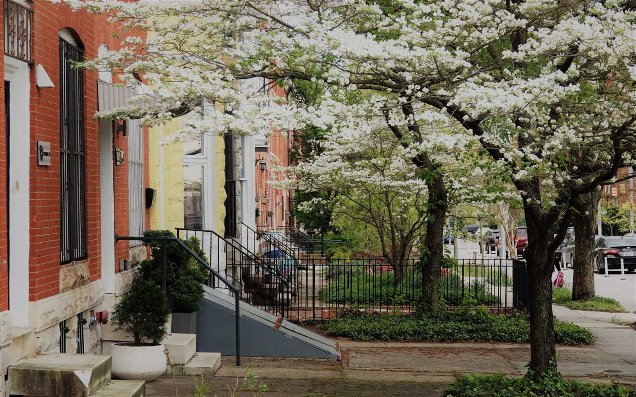 Clinton Hill