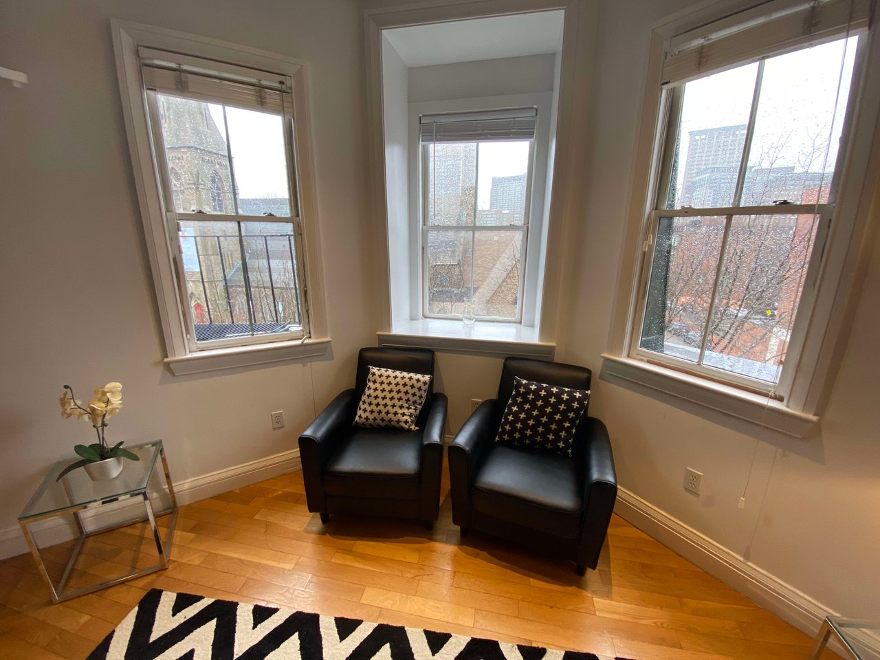 Fully Furnished "Turnkey" South End One Bed for JULY 1st