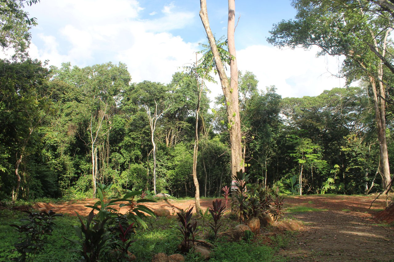 River Frontage Lot close to Uvita