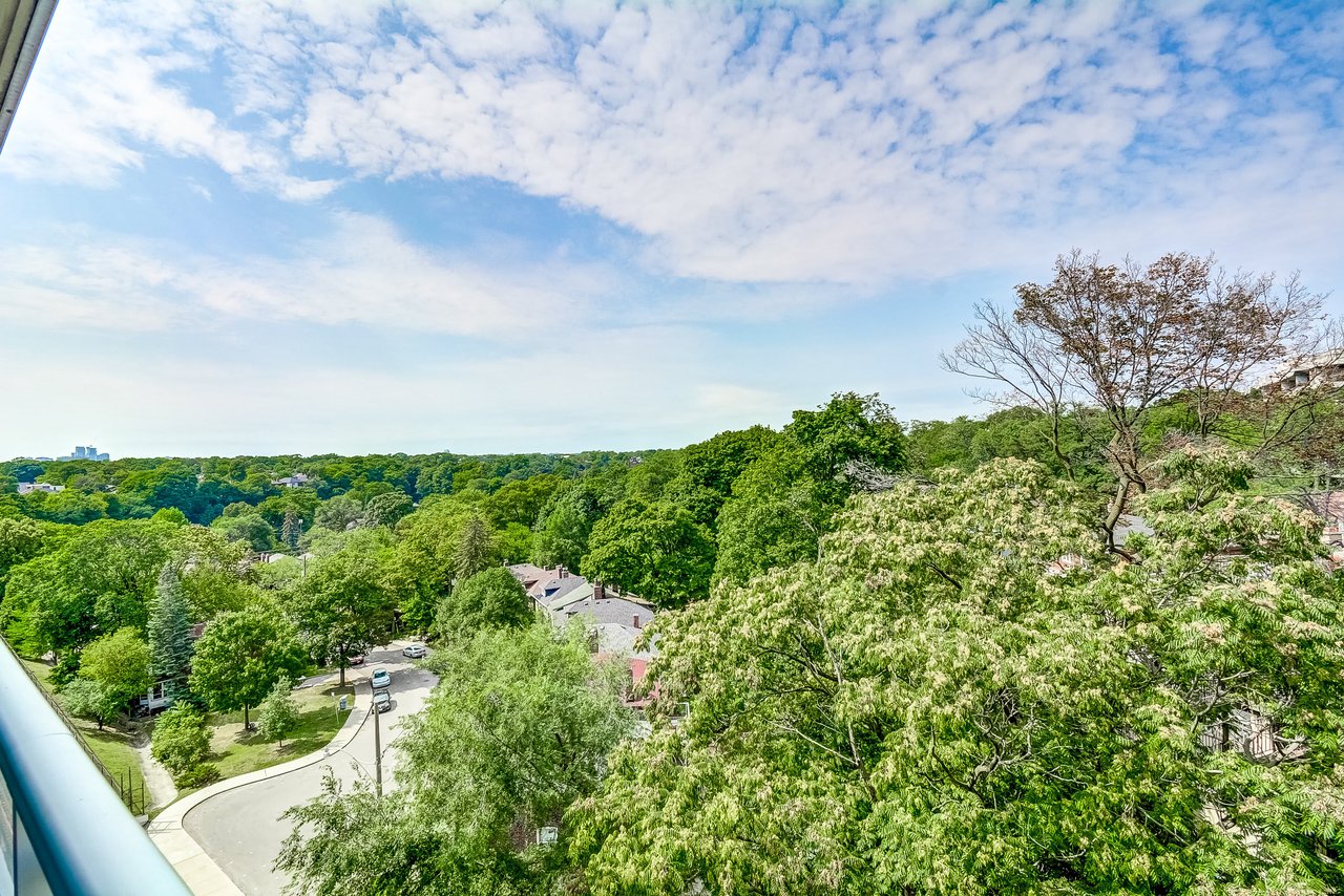 HIGH PARK TREETOP OASIS