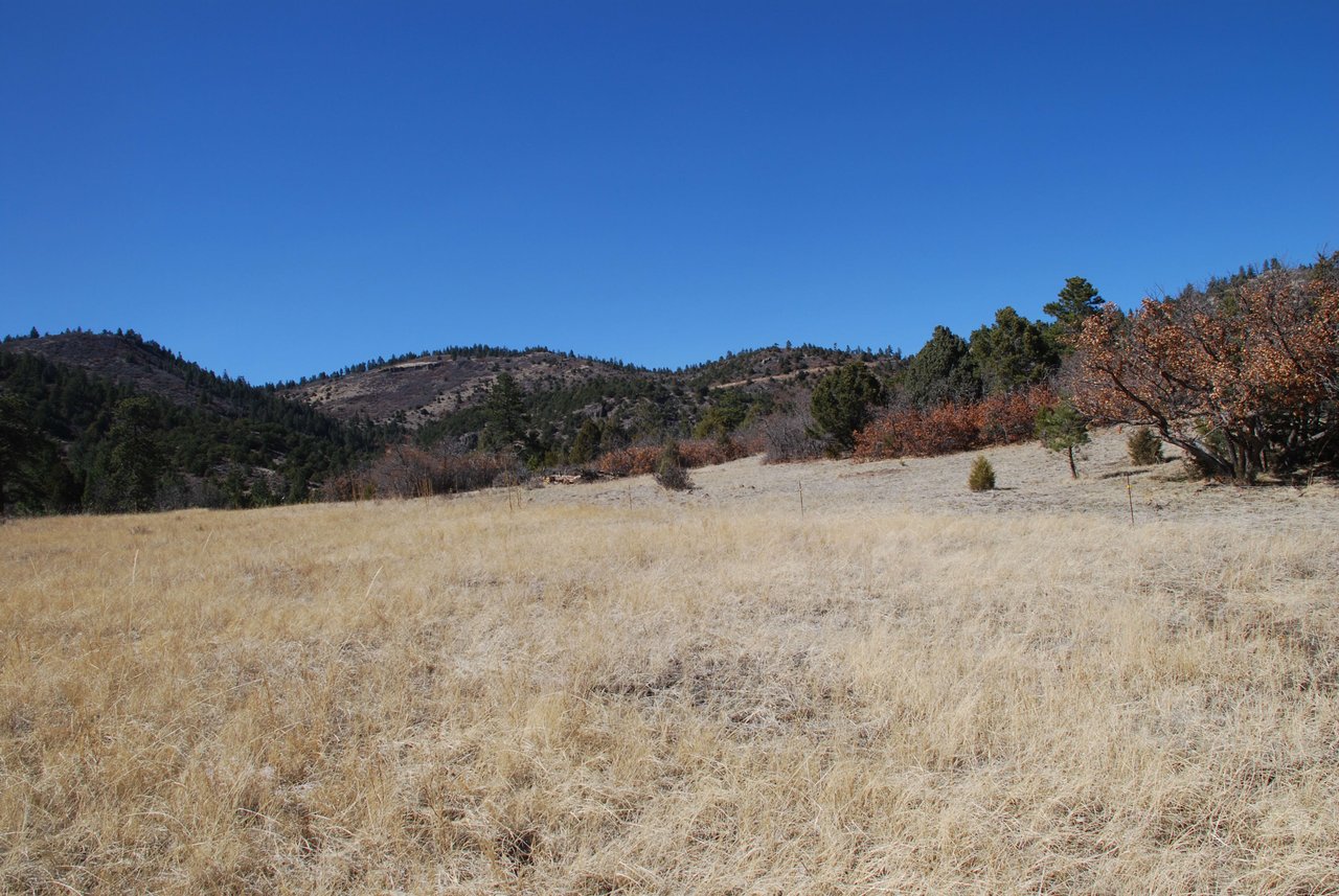 Elk Mountain Ranch