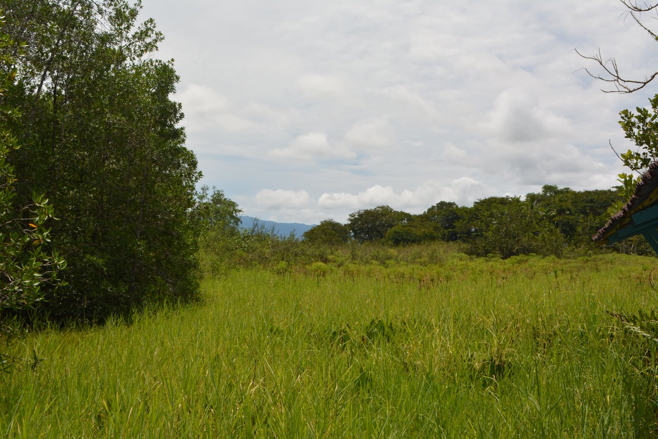 10 Acre Rio Sierpe Paradise Residential And Cabinas