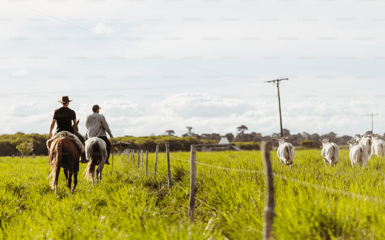 Transitioning to Rural Life in Texas