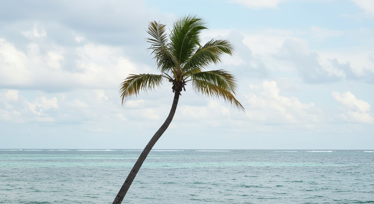 Living in North Shore, Oahu