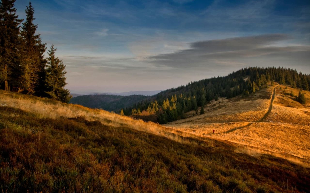 Ultimate Trail Guide to Calaveras County