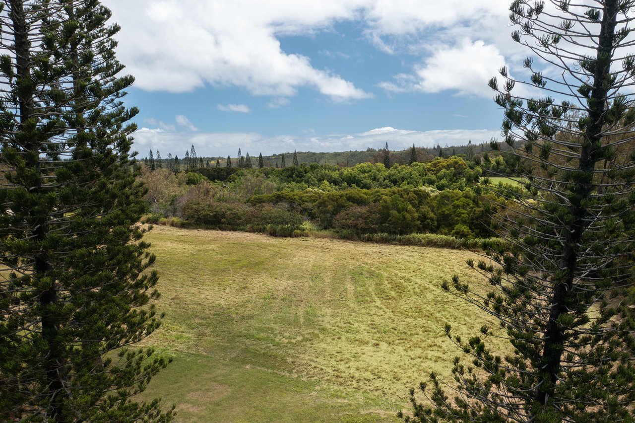 221 Plantation Club Dr.