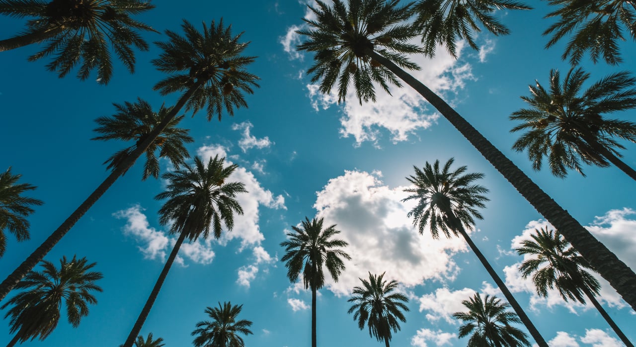 Encinitas Market Report 2024