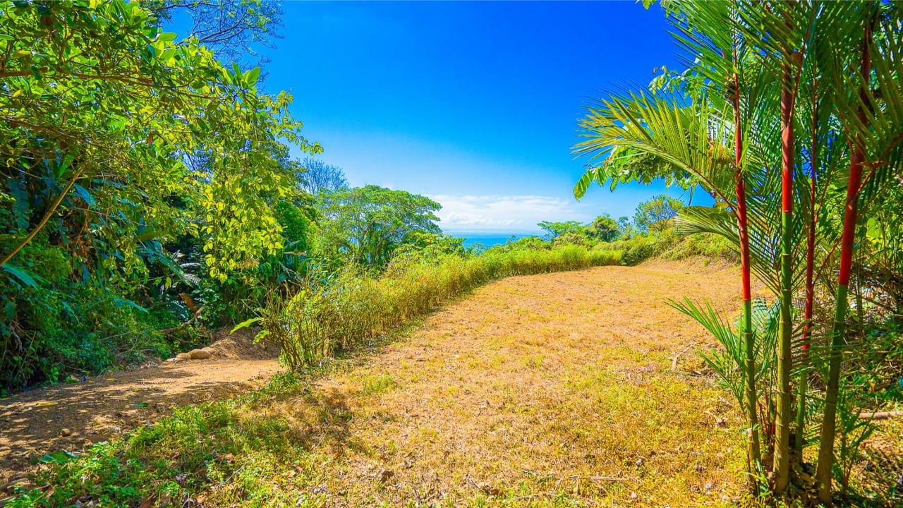 Flat Buildable Ocean View Lot, Ojochal, Puntarenas