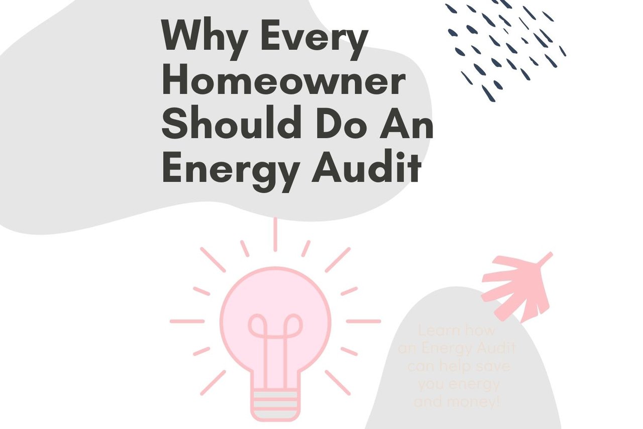 Energy audit blog graphic with a large headline, a pink light bulb, and a message about saving energy and money.