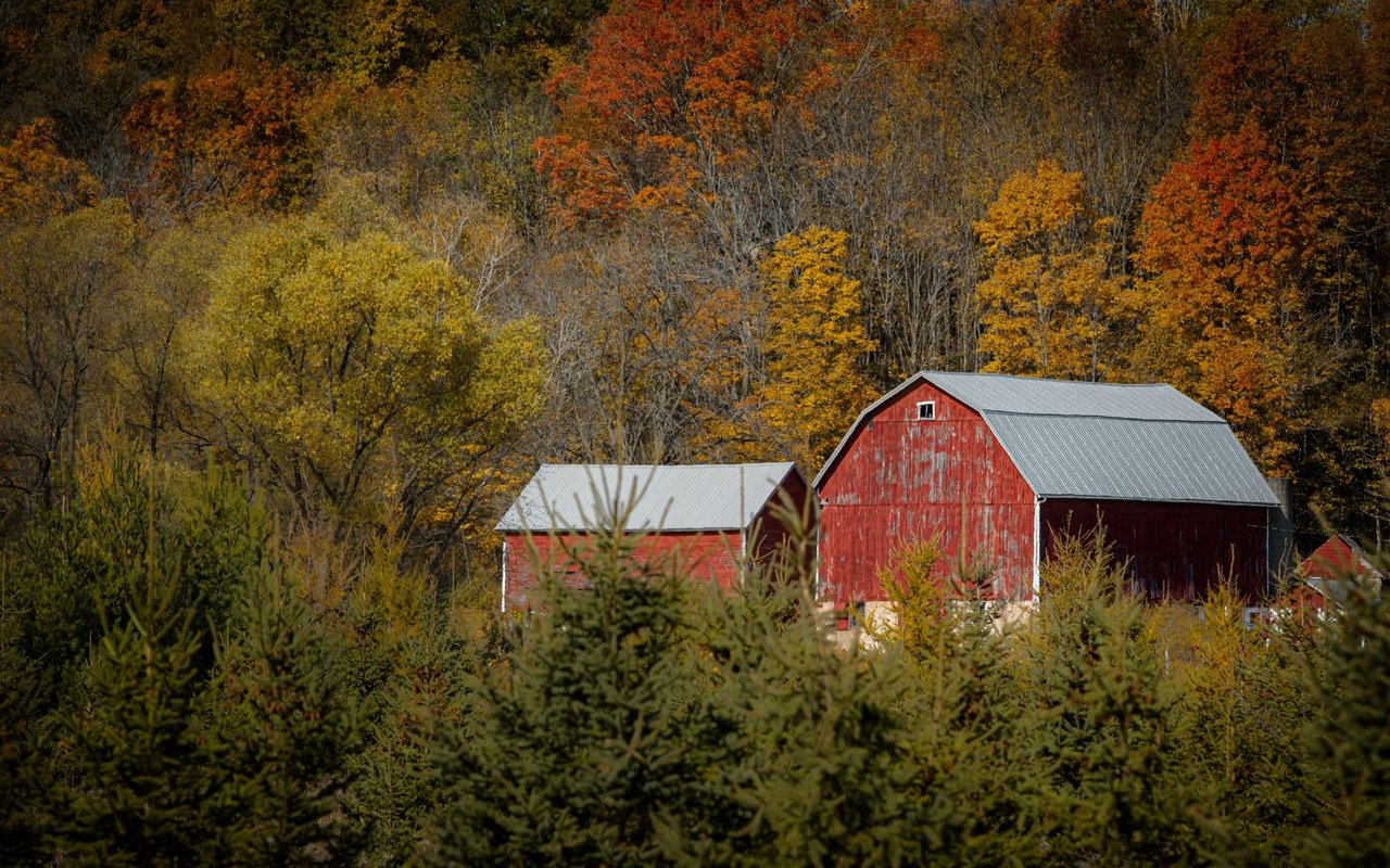 Tolland County