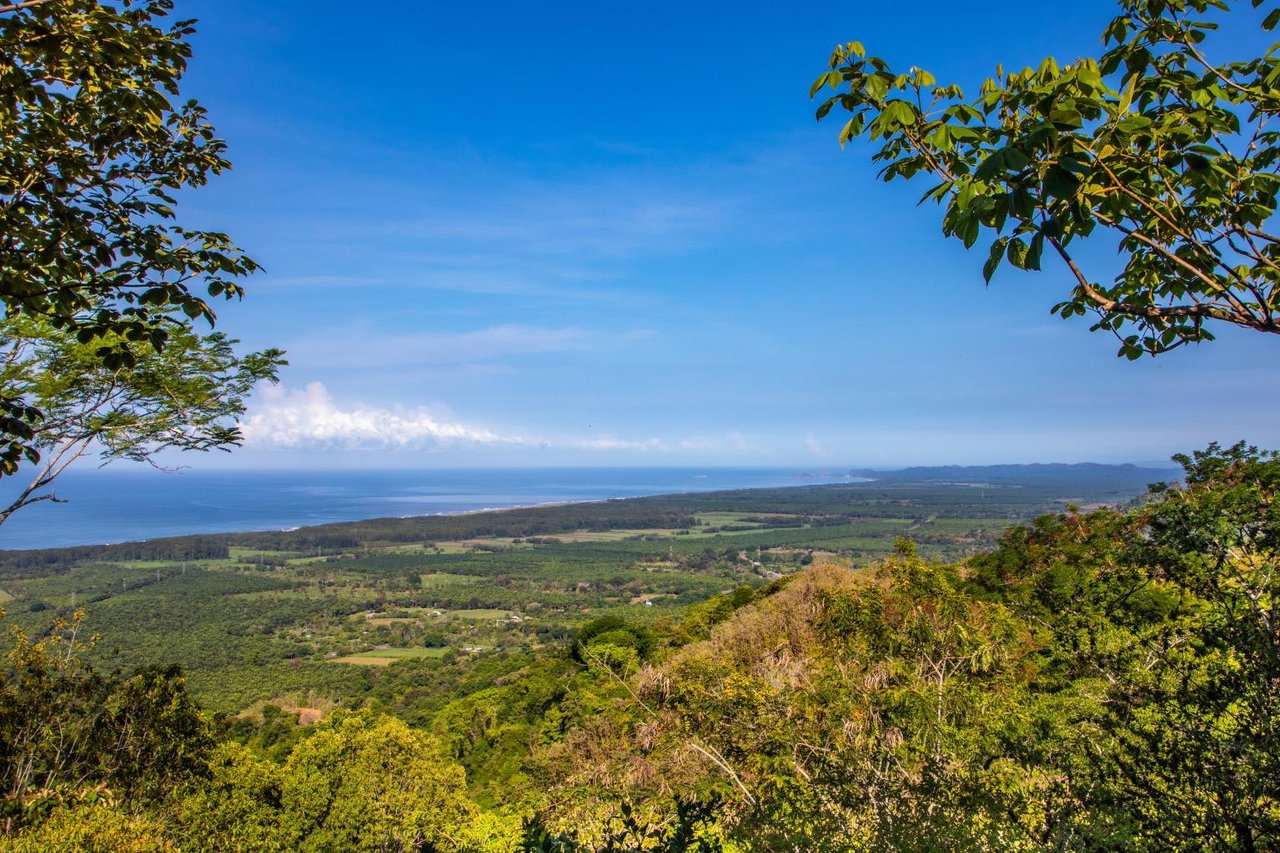 Incredible 7,000 Ft2 Ocean View Home With 200 Acre Reserve!