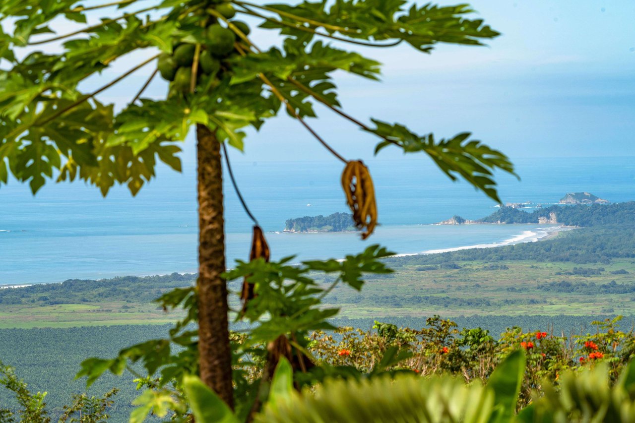 Hills of Portalon Best Ocean View