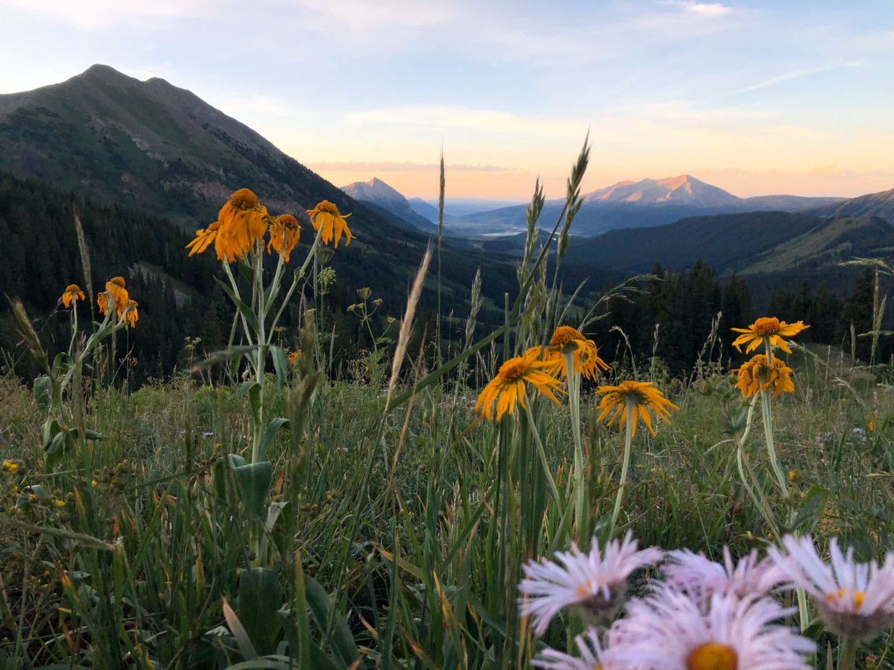 Our Favorite Summer Activities and Adventures in Gunnison, Colorado