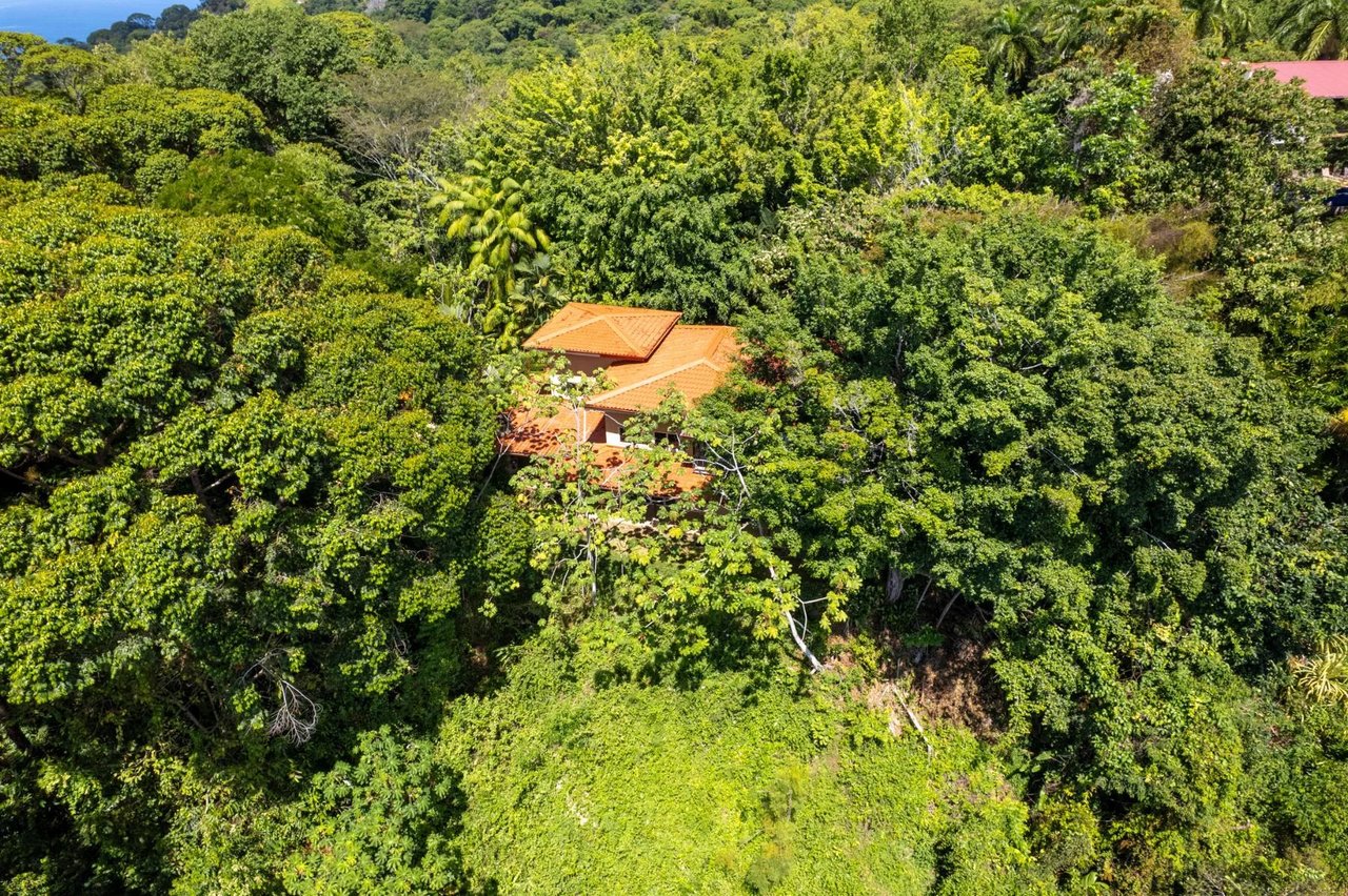 Private Oceanview Jungle Estate, Dominical, Puntarenas