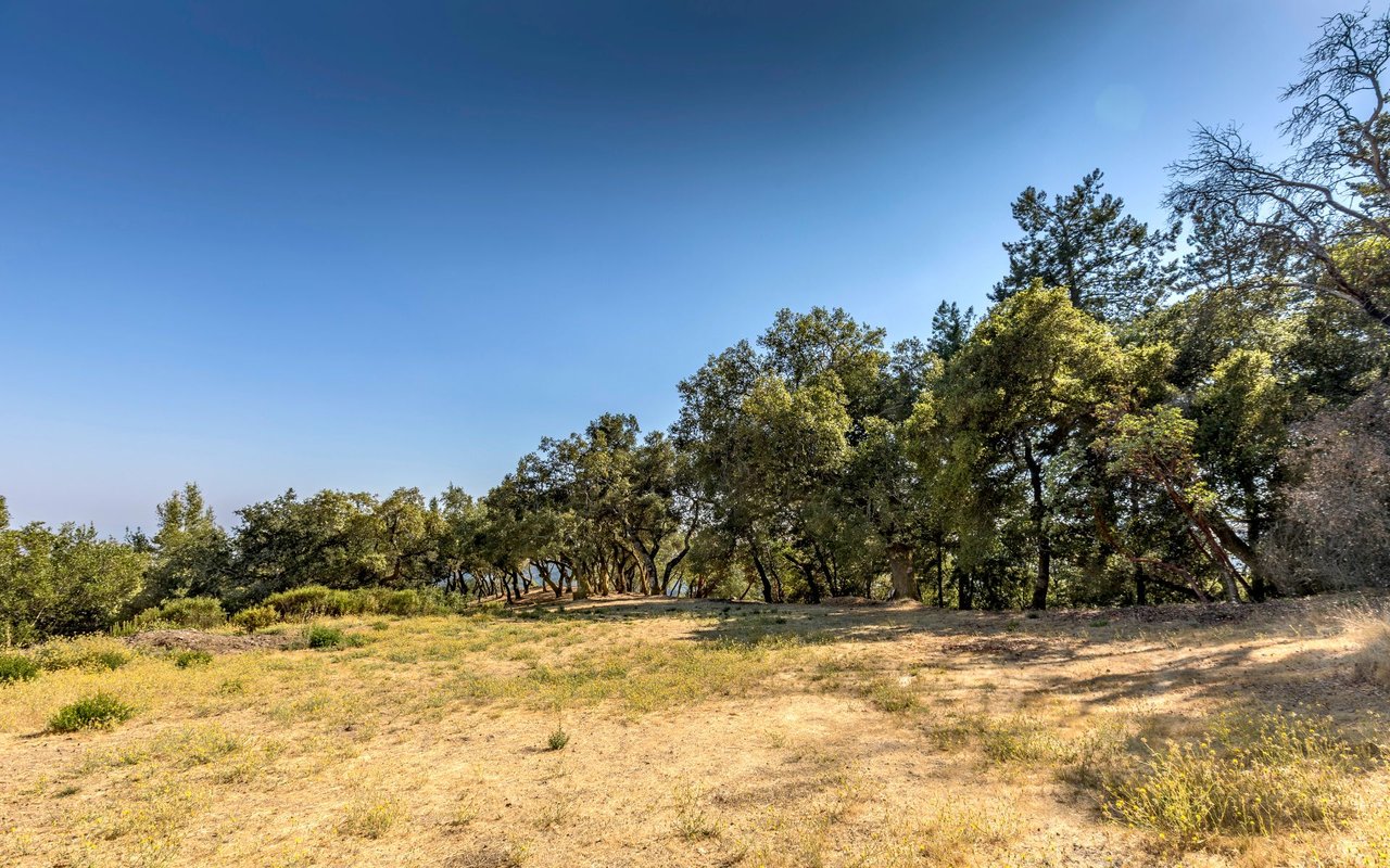 Grove Street, Sonoma