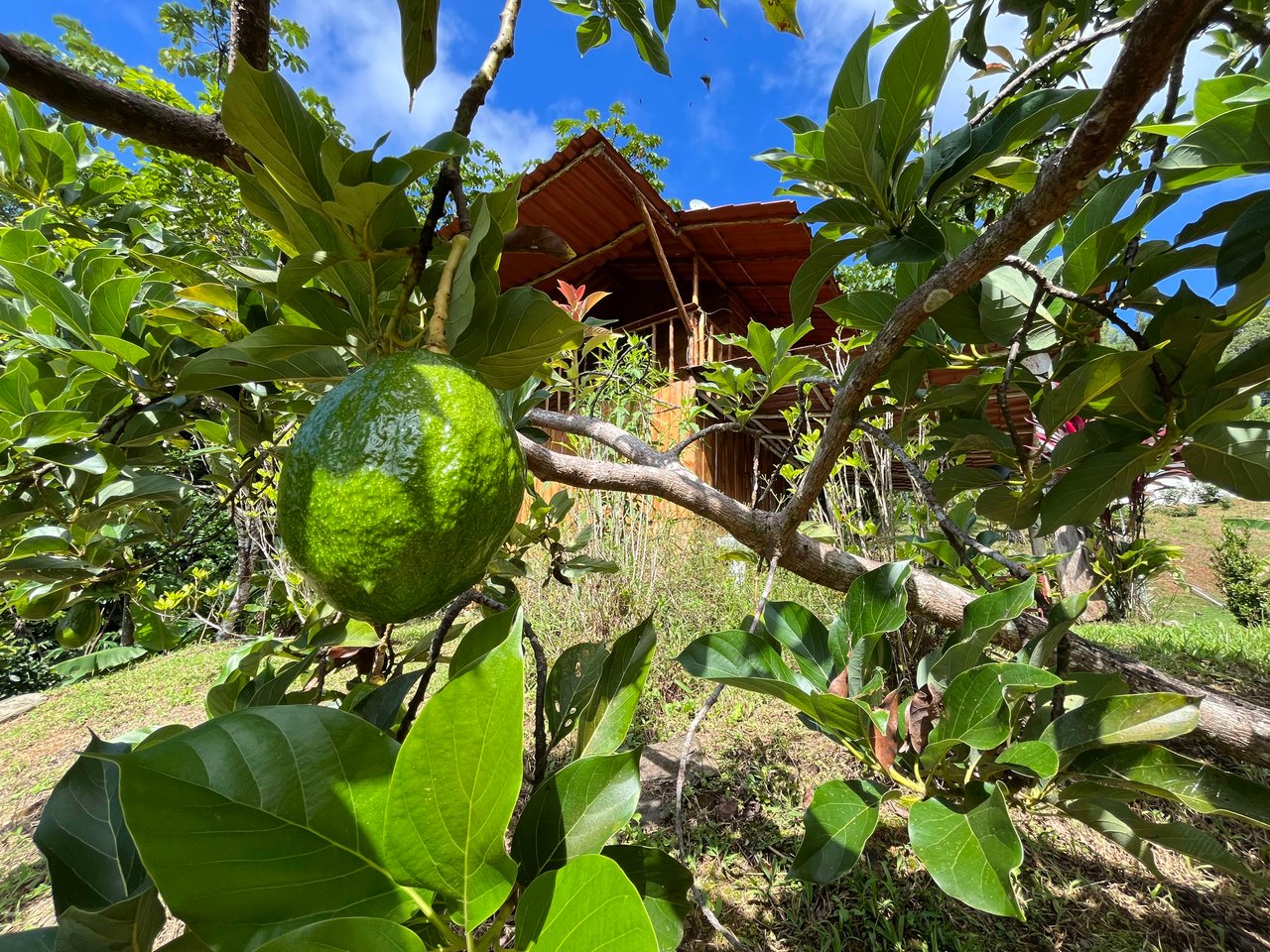 Costa Azul 120-degree Mountain View House With Costarican Wooden House as Lagniappe.