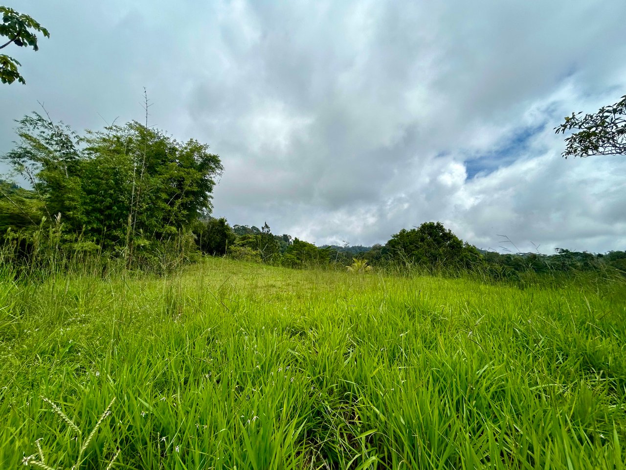 Gorgeous 103 Acres Land in La Florida Hills, Dominical