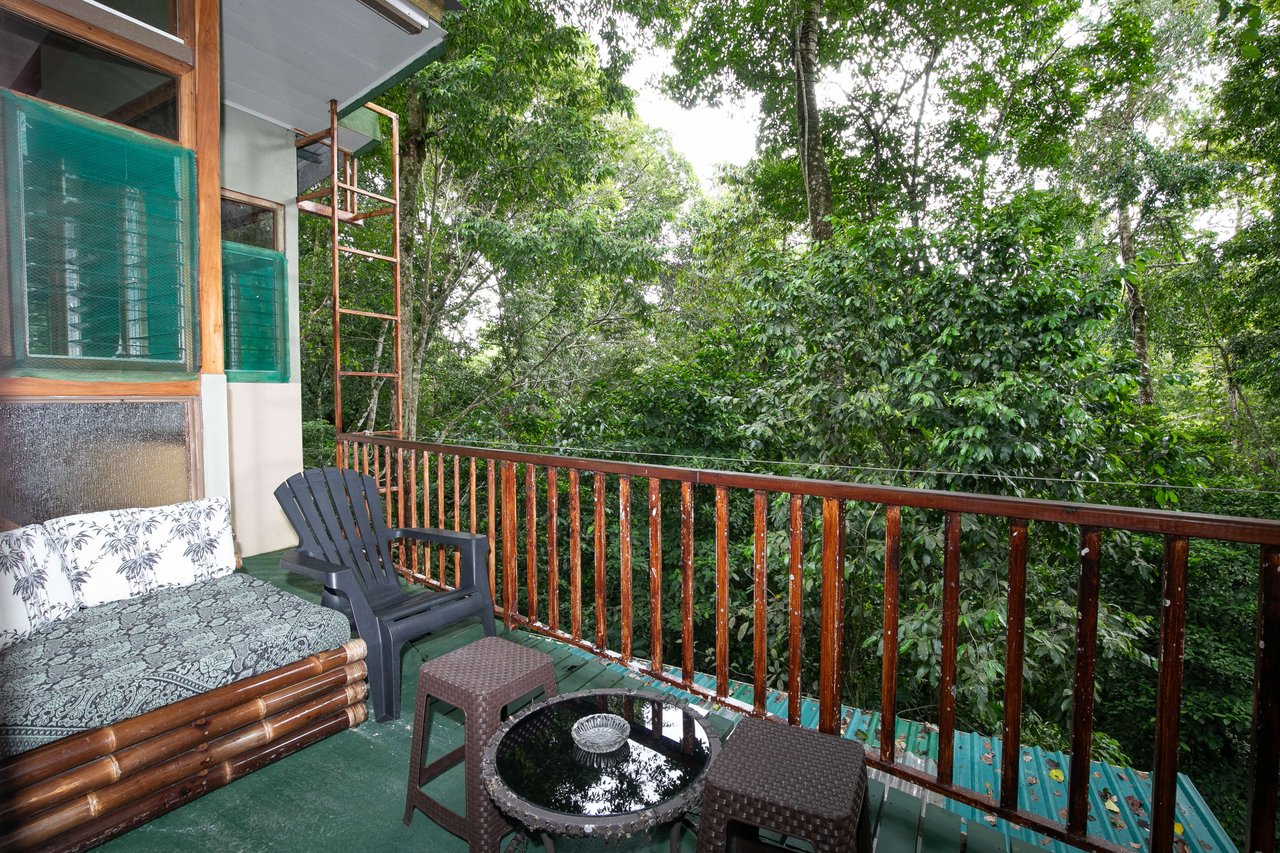 Jungle Retreat with 4 Turn-Key Vacation Rentals for Sale in Quepos