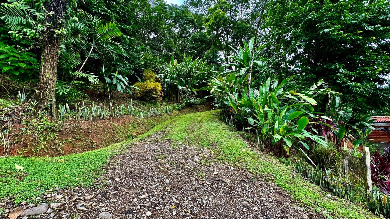 BEST OCEAN VIEW LOT Including WHALE TAIL BEACH, CAÑO ISLAND and other ISLANDS!