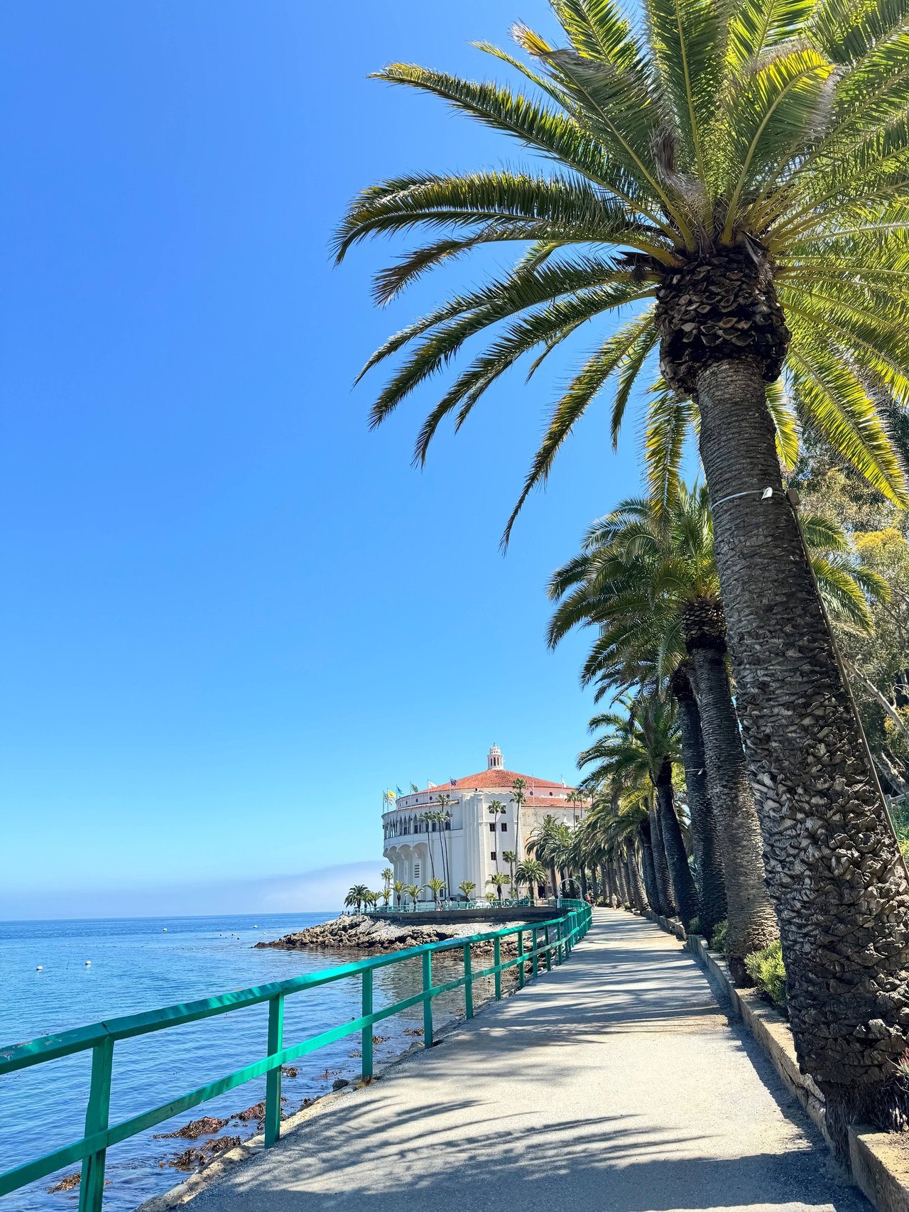 A Day Trip to Catalina Island