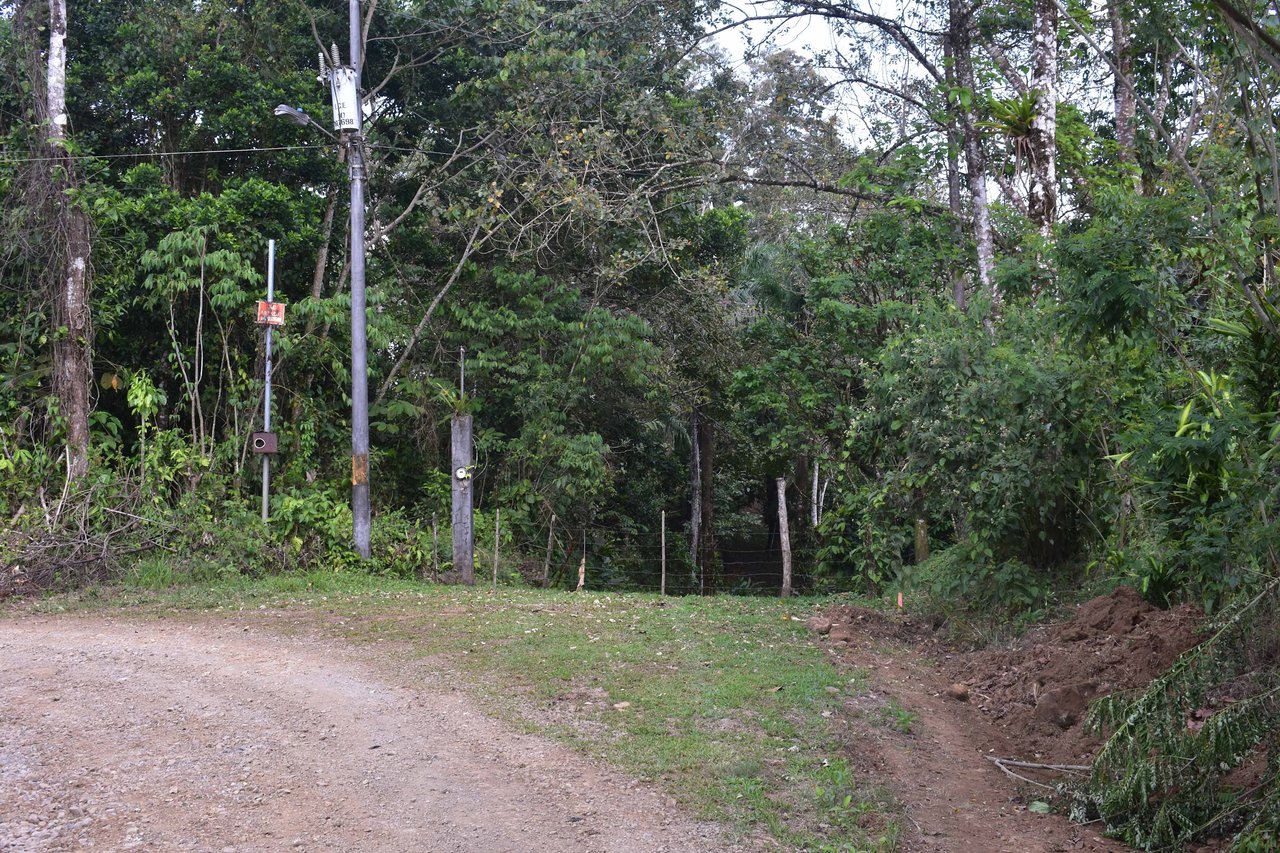 Finca La Paz | Scenic Property in Santo Domingo de Bijagua For Sale!