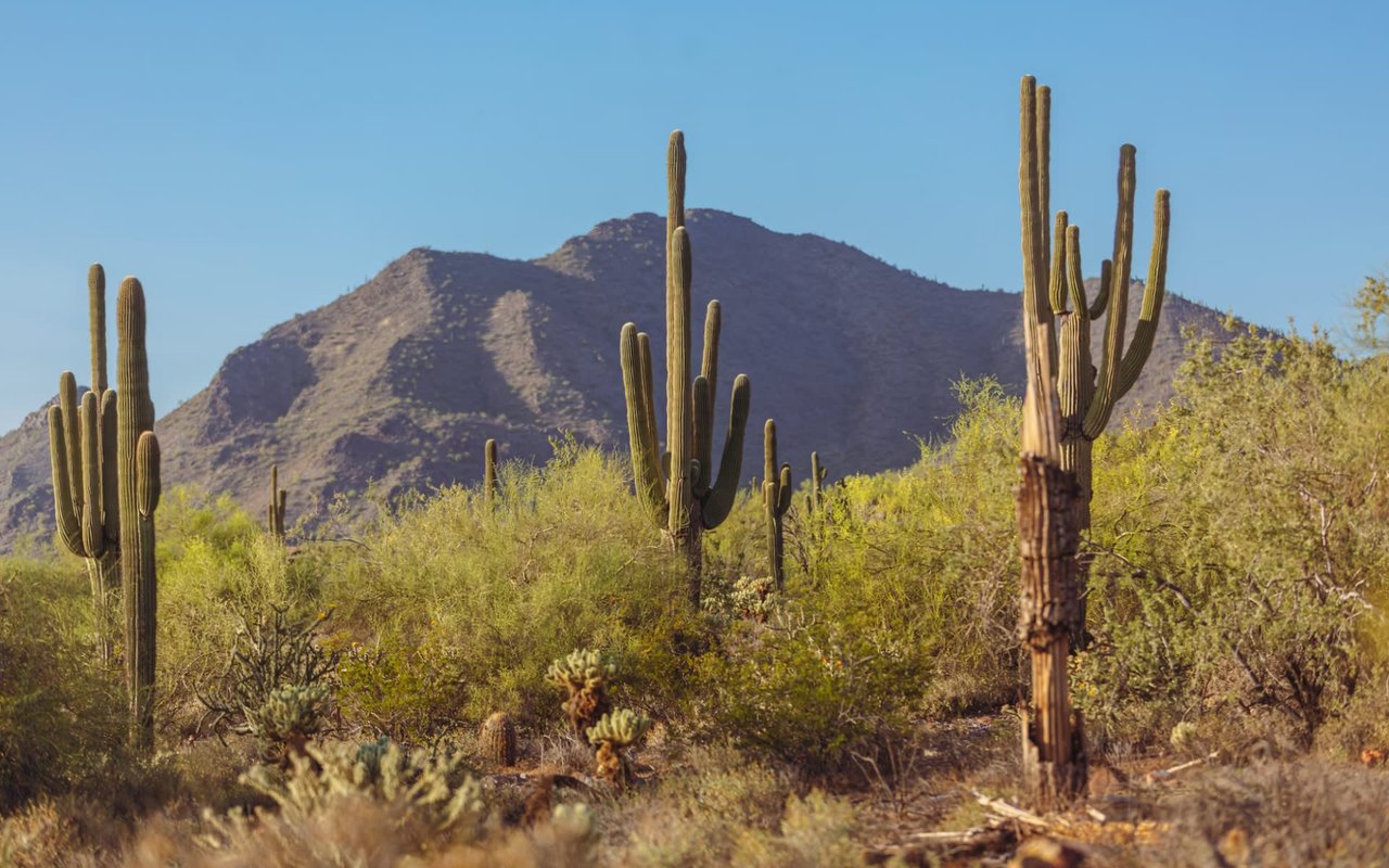 Hiking in North Scottsdale, AZ