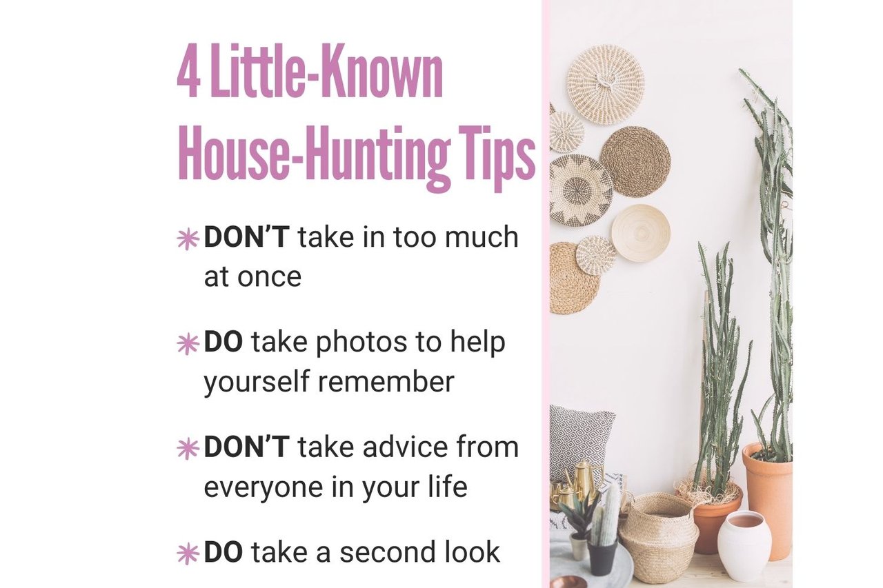 Infographic with four house-hunting tips and a photo of potted cacti and woven wall baskets.